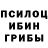 Галлюциногенные грибы Psilocybe Madia Dairabaeva