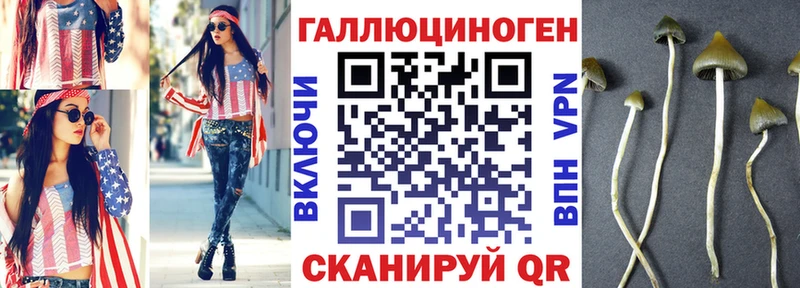 площадка телеграм  закладки  Ишимбай  Галлюциногенные грибы Cubensis 