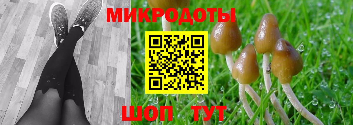 Псилоцибиновые грибы Cubensis  Вход с VPN  Ишимбай 